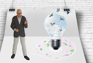 kaiyun体育app-中国篮球职业联赛俱乐部财务风险管理及控制，篮球俱乐部的风险与对策