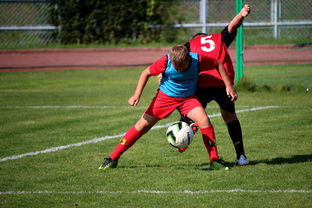 开云网页版-中国篮球职业联赛俱乐部运营模式创新及管理经验分享，篮球俱乐部运营与管理