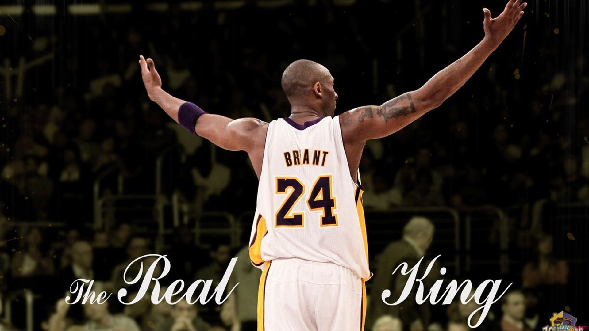 掘金主场优势显现全队化学反应良好，掘金主场是高原吗